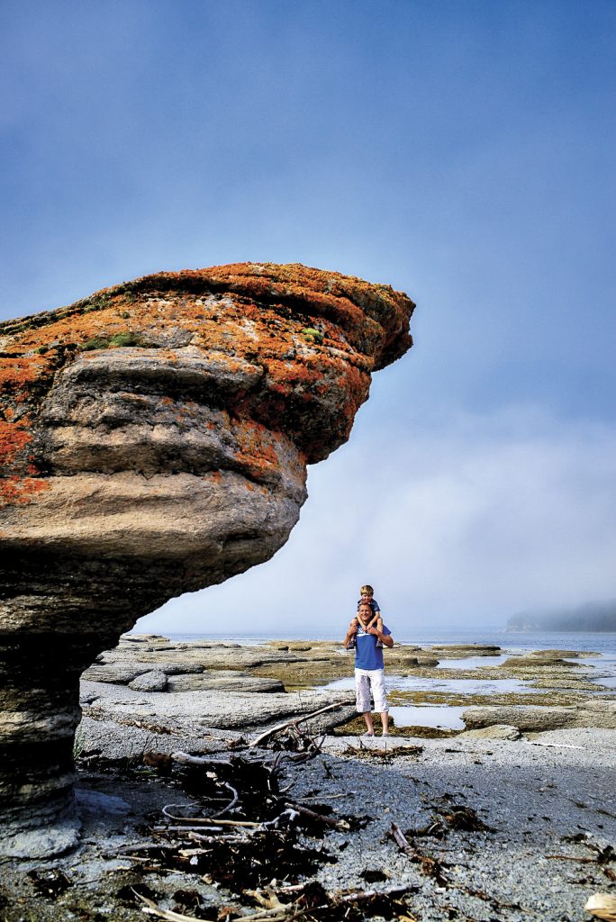 5P110-13-1004/NL/005