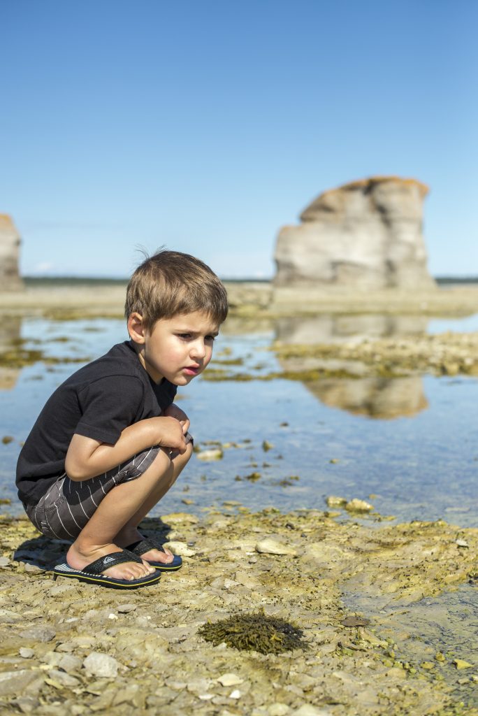 Un jeune garçon découvre les fossiles sur le platier de calcaire de l’Anse des Érosions à l’île Quarry. Réserve de parc national de l’Archipel-de-Mingan / A young boy discovers fossils on the limestone flats of Anse des Érosions on Île Quarry. Mingan Archipelago National Park Reserve