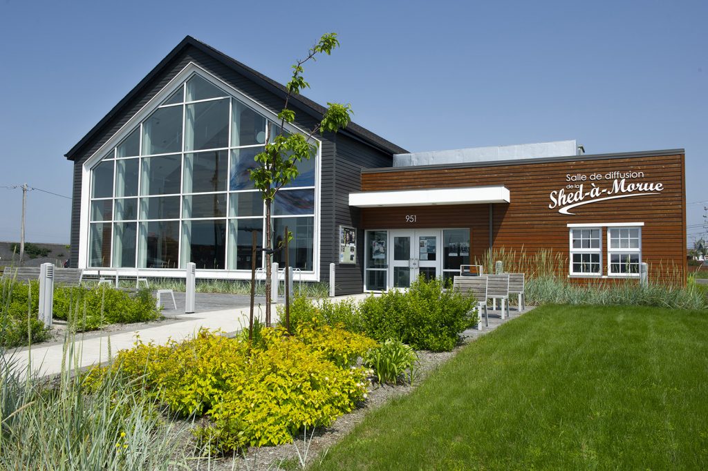 shed-a-morue-1
