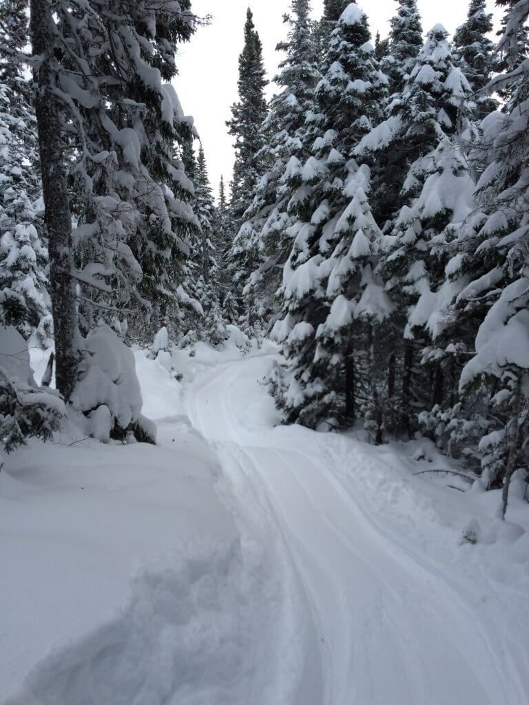sentier-motoneige3